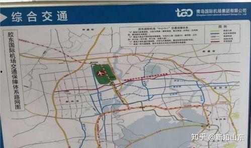 青岛爆料最新消息